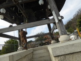 img0010.jpg