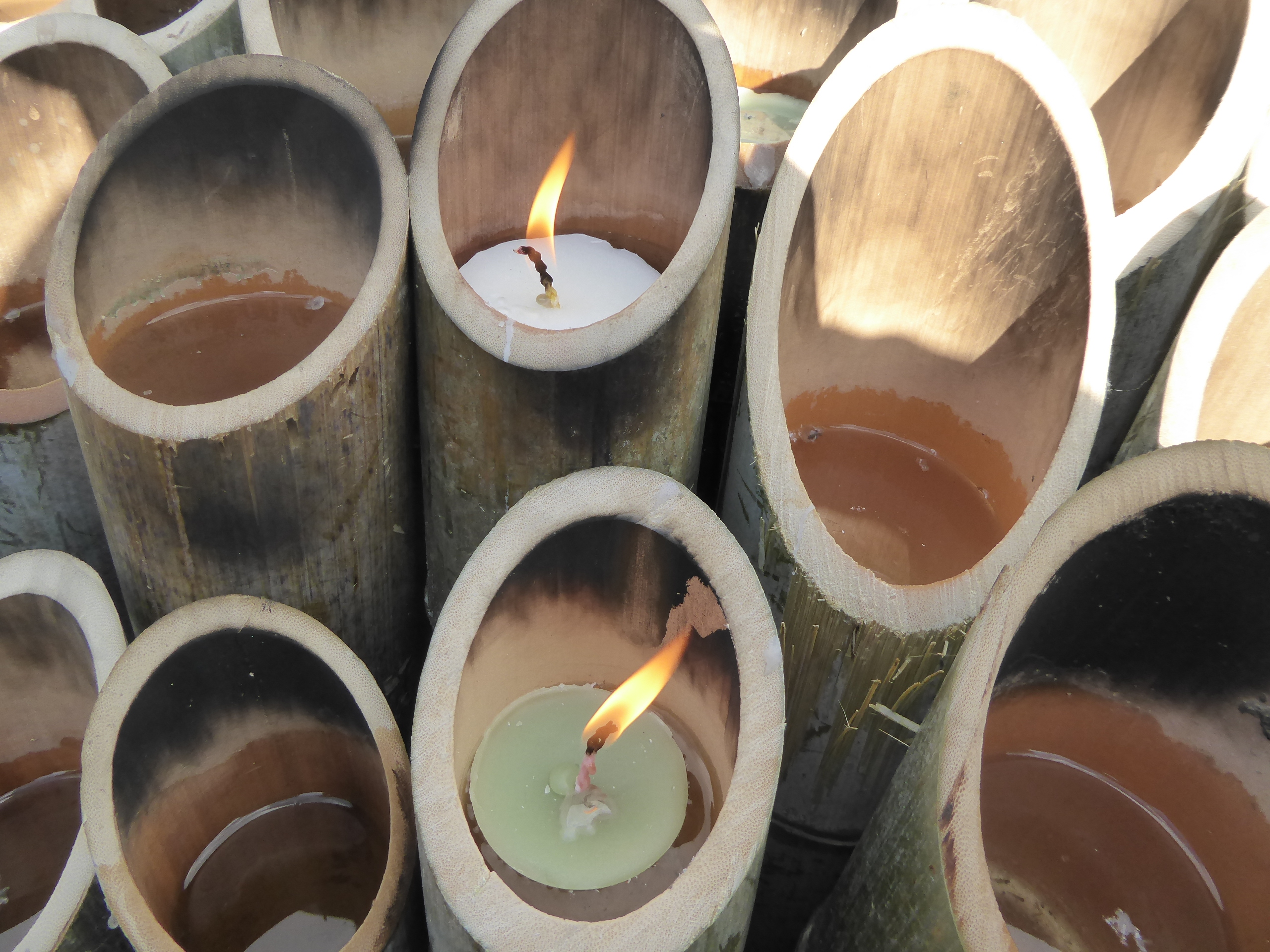 P1080453.JPG