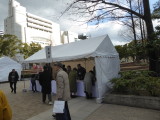 img0010.jpg