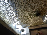 img0012.jpg