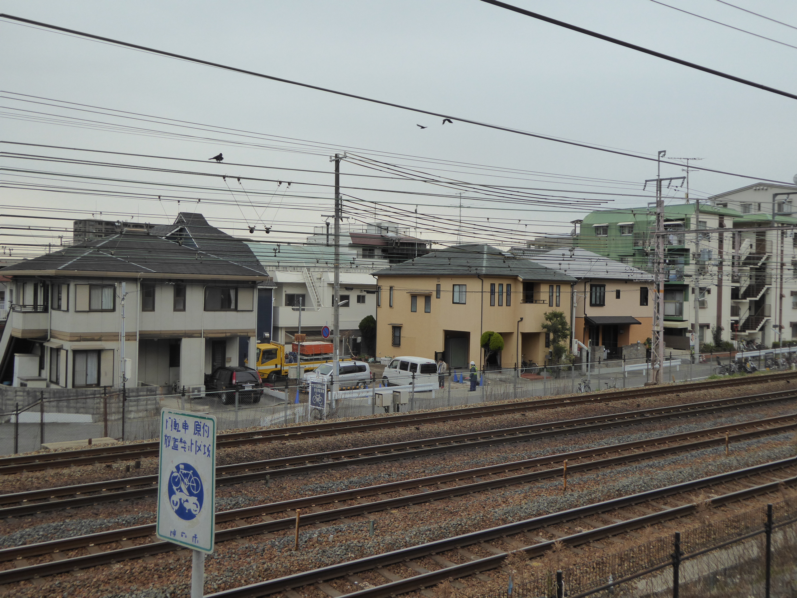 P1080630.JPG