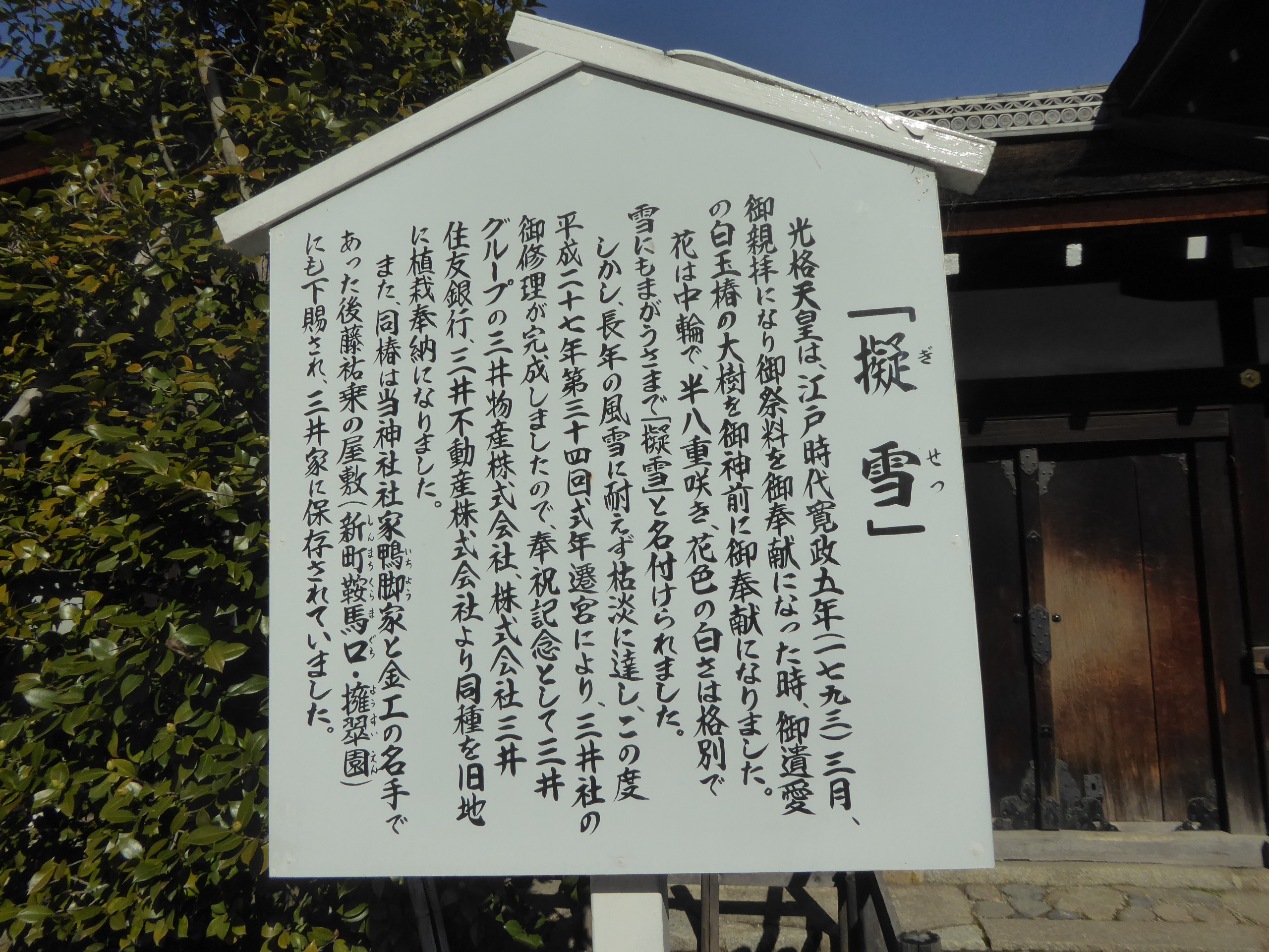 P1080511.JPG