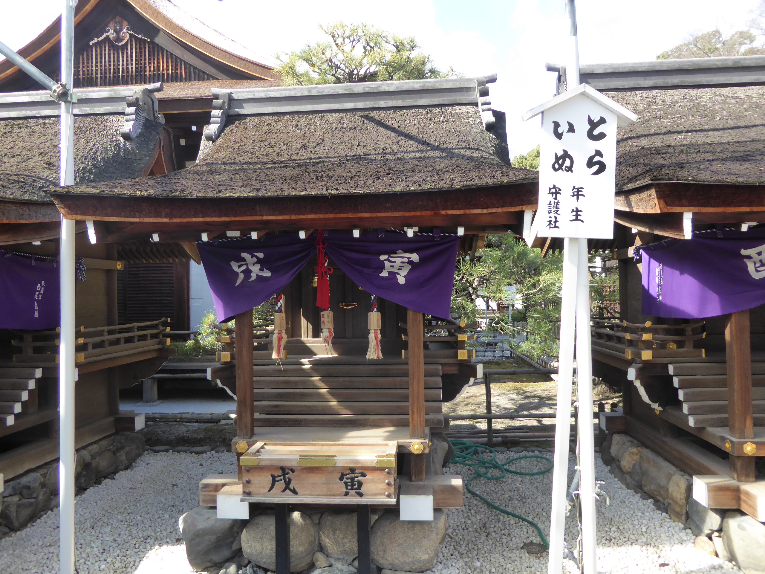 P1080513.JPG