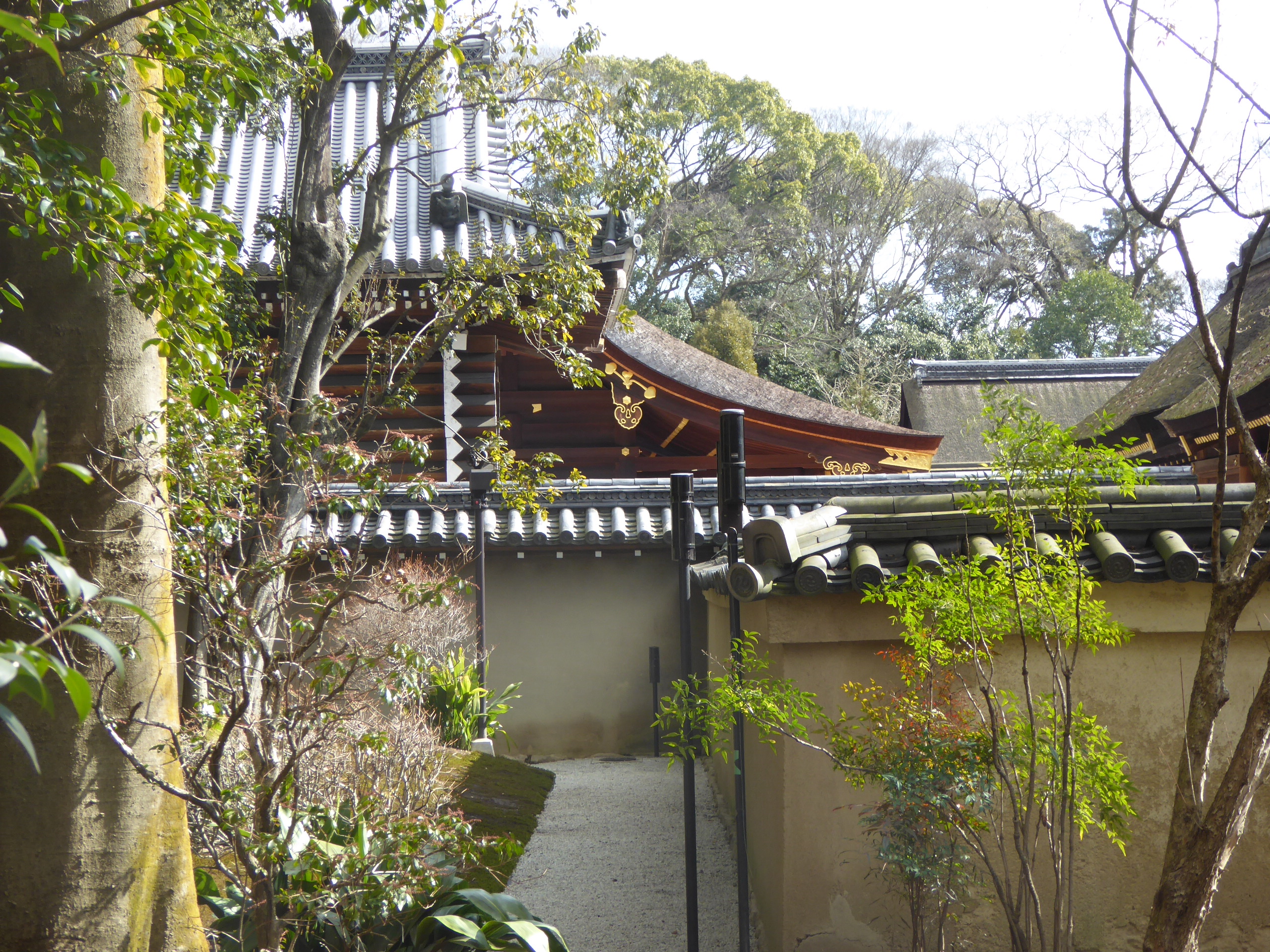 P1080516.JPG