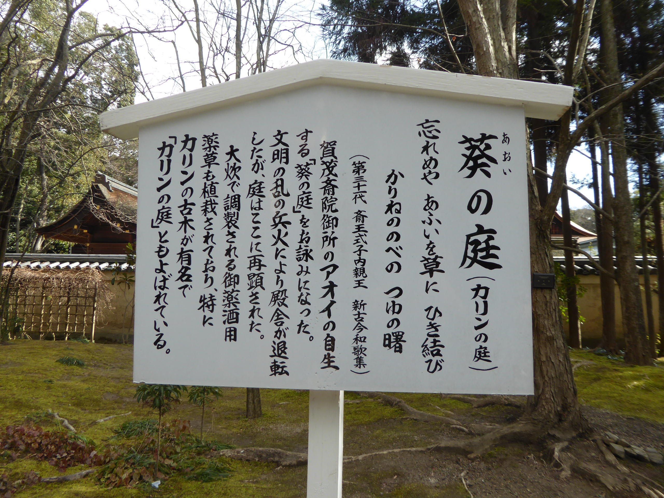 P1080517.JPG