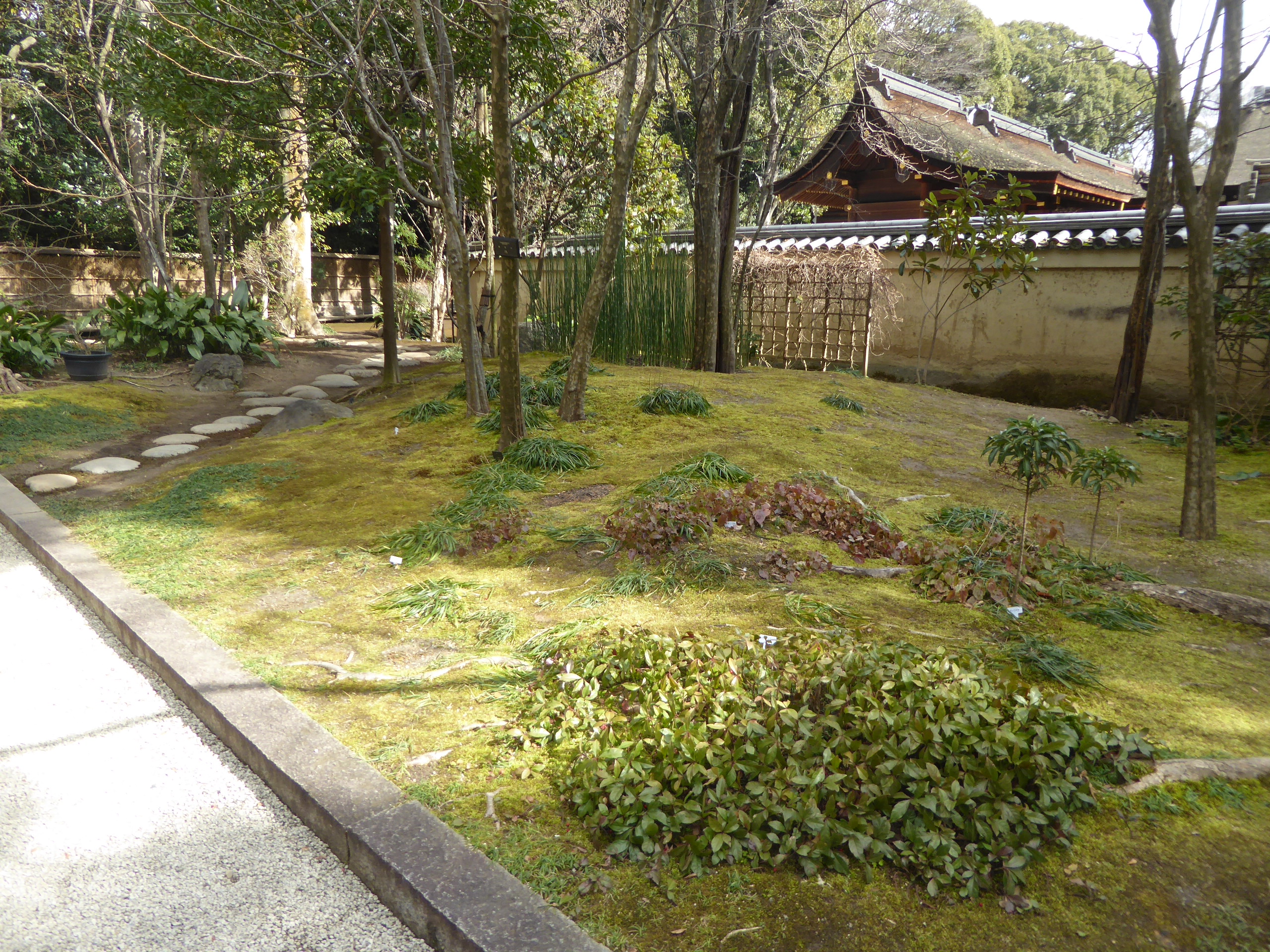P1080518.JPG