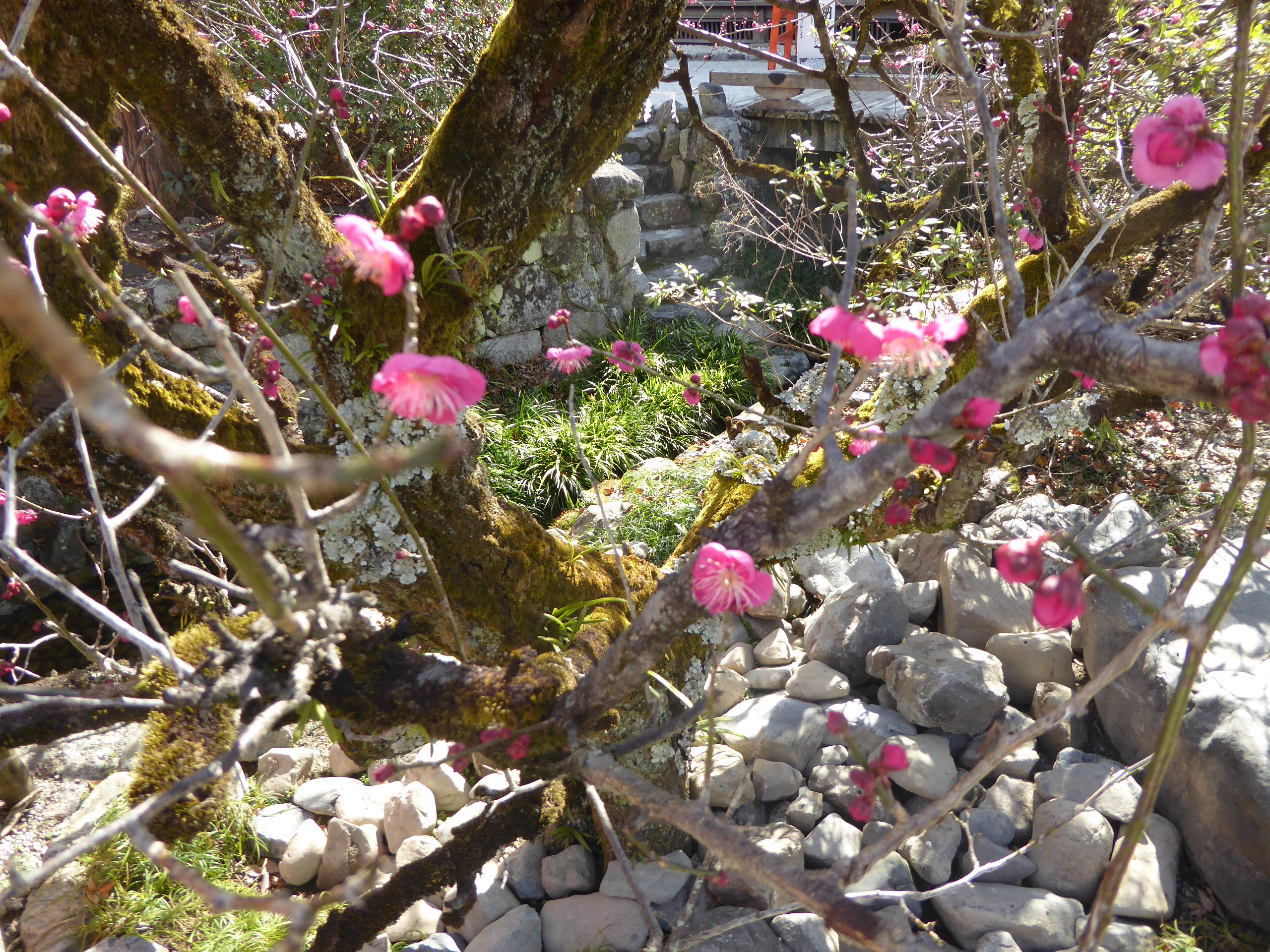 P1080540.JPG