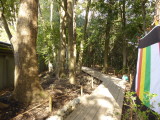 img0005.jpg