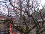 img0028.jpg