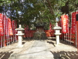 img0037.jpg