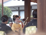img0064.jpg
