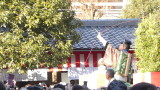 img0081.jpg