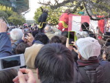 img0096.jpg