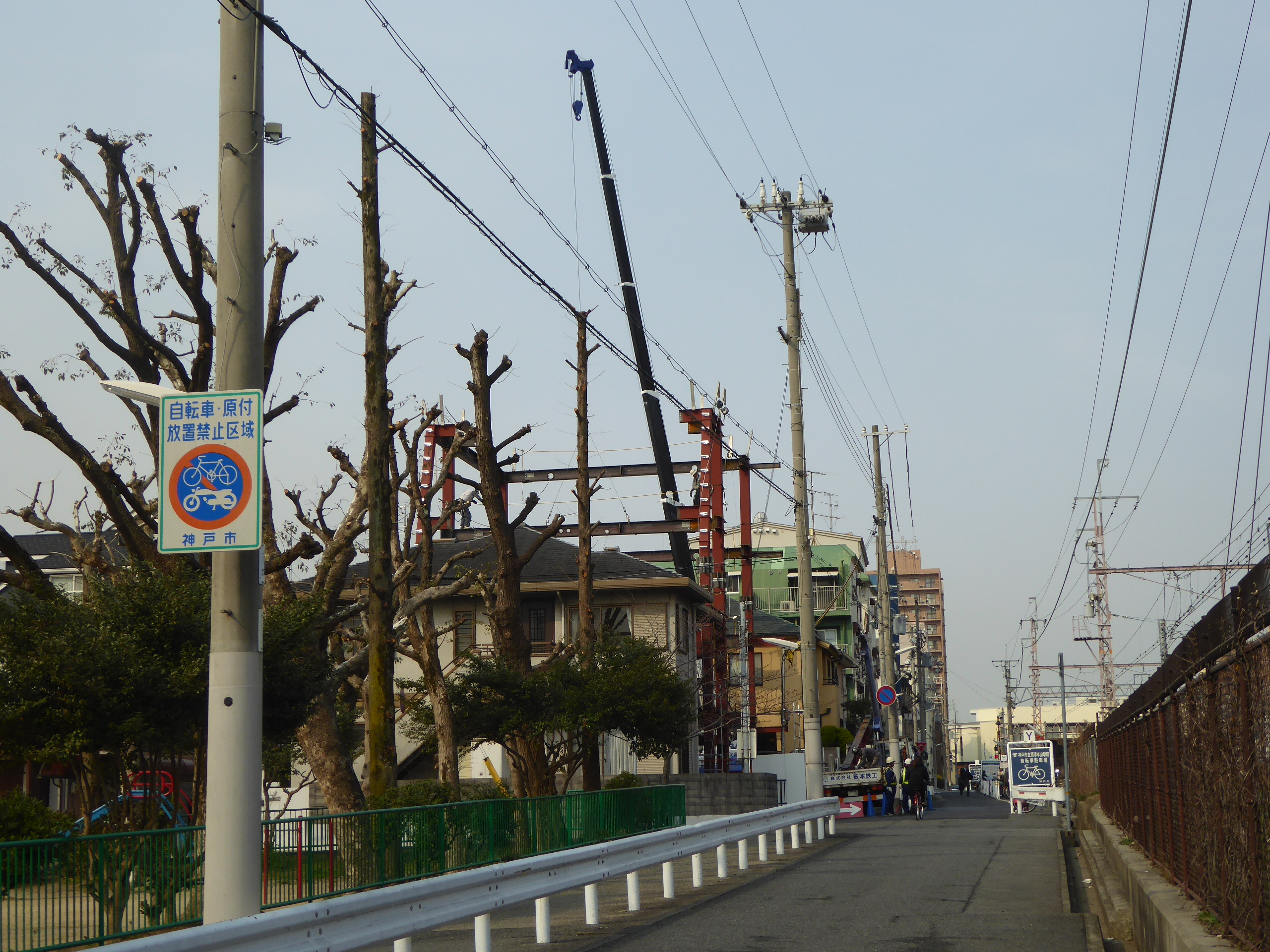 P1090133.JPG