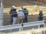 img0003.jpg