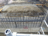 img0050.jpg