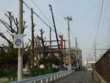 img0124.jpg