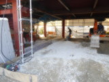 img0155.jpg