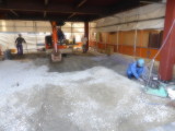 img0156.jpg