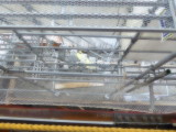 img0175.jpg