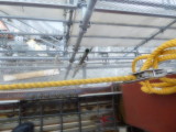 img0176.jpg