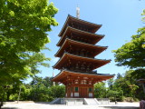 img0003.jpg