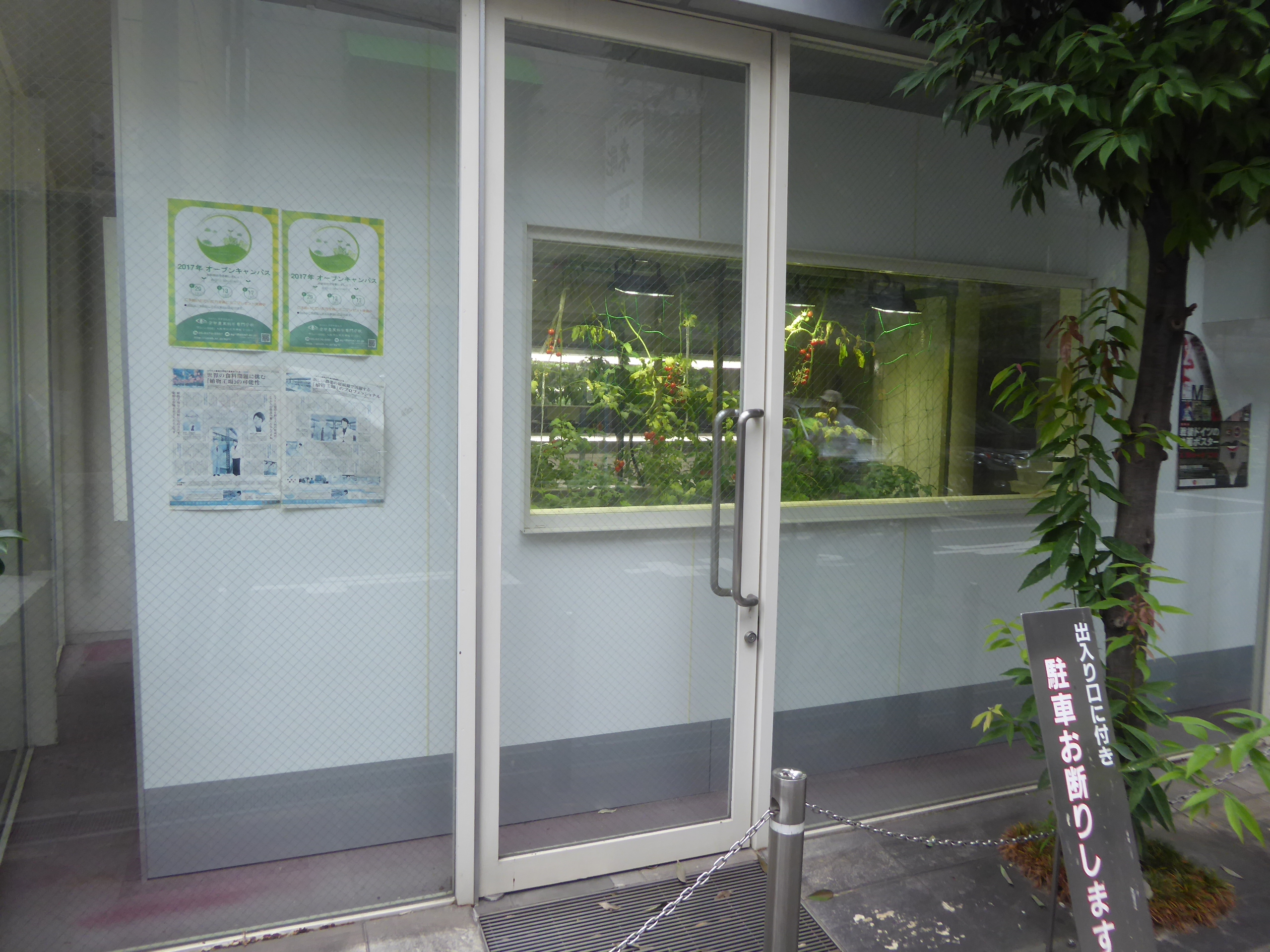 P1090319.JPG