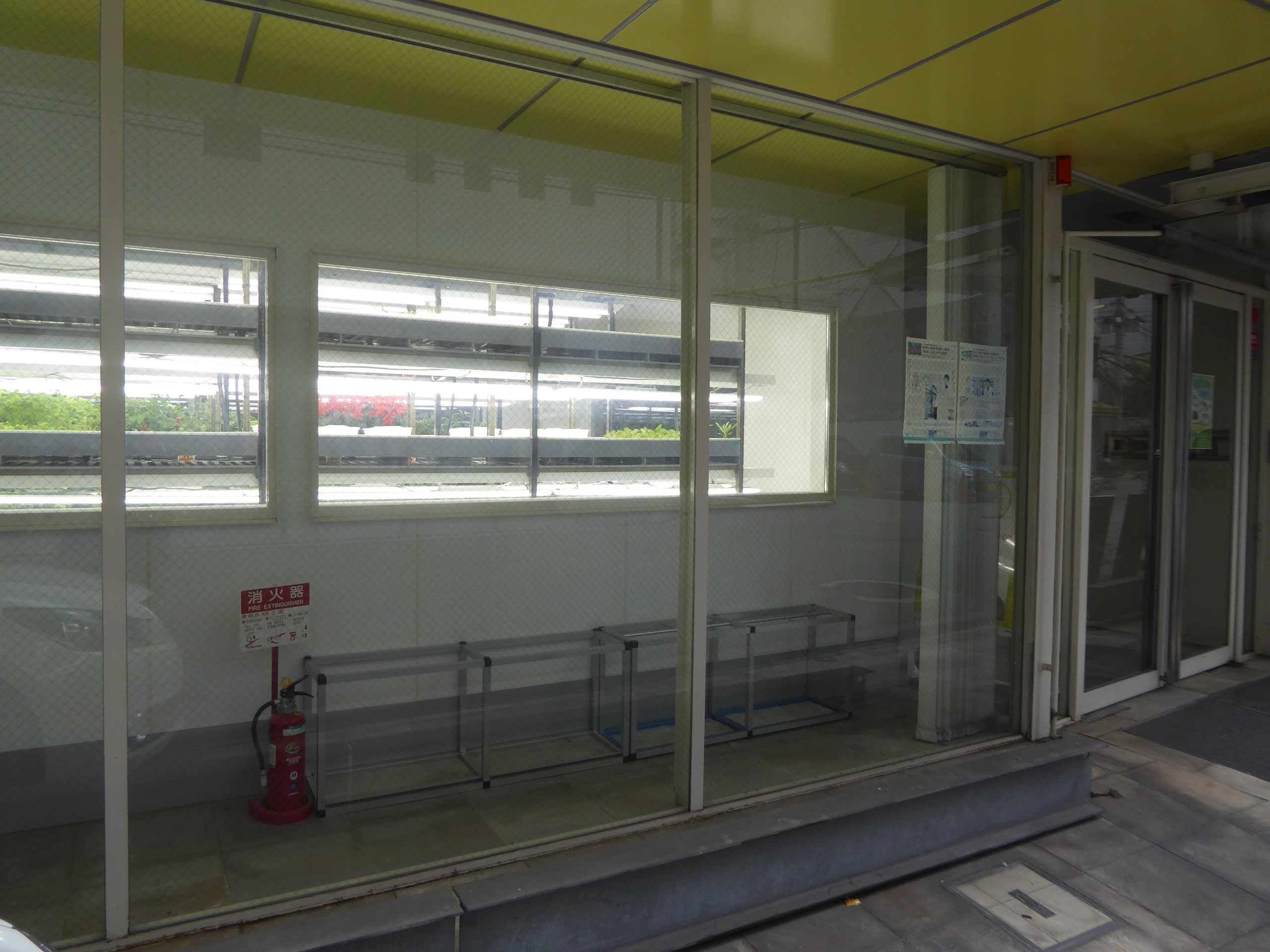 P1090321.JPG