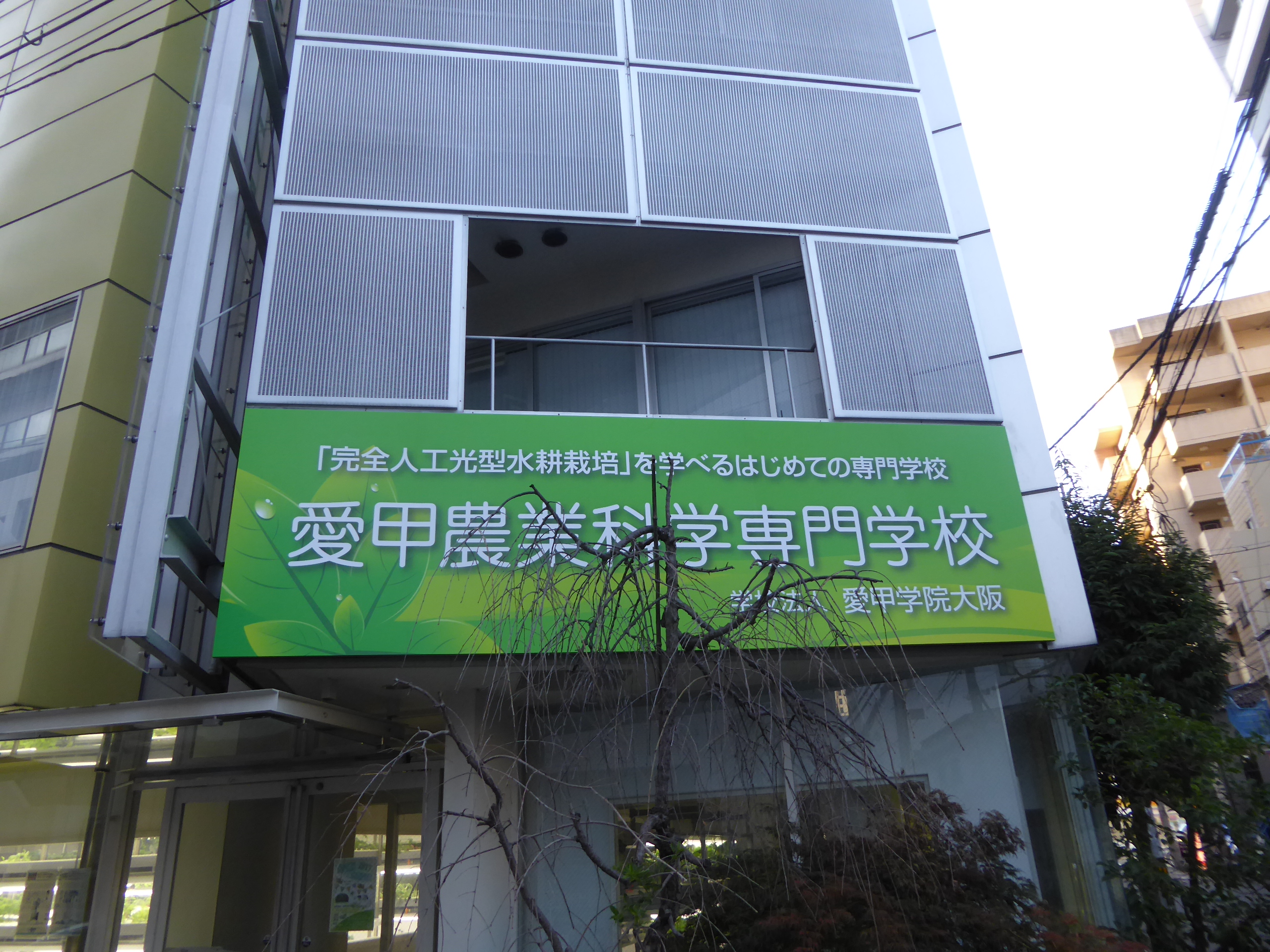 P1090345.JPG