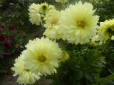 img0005.jpg
