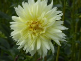 img0015.jpg