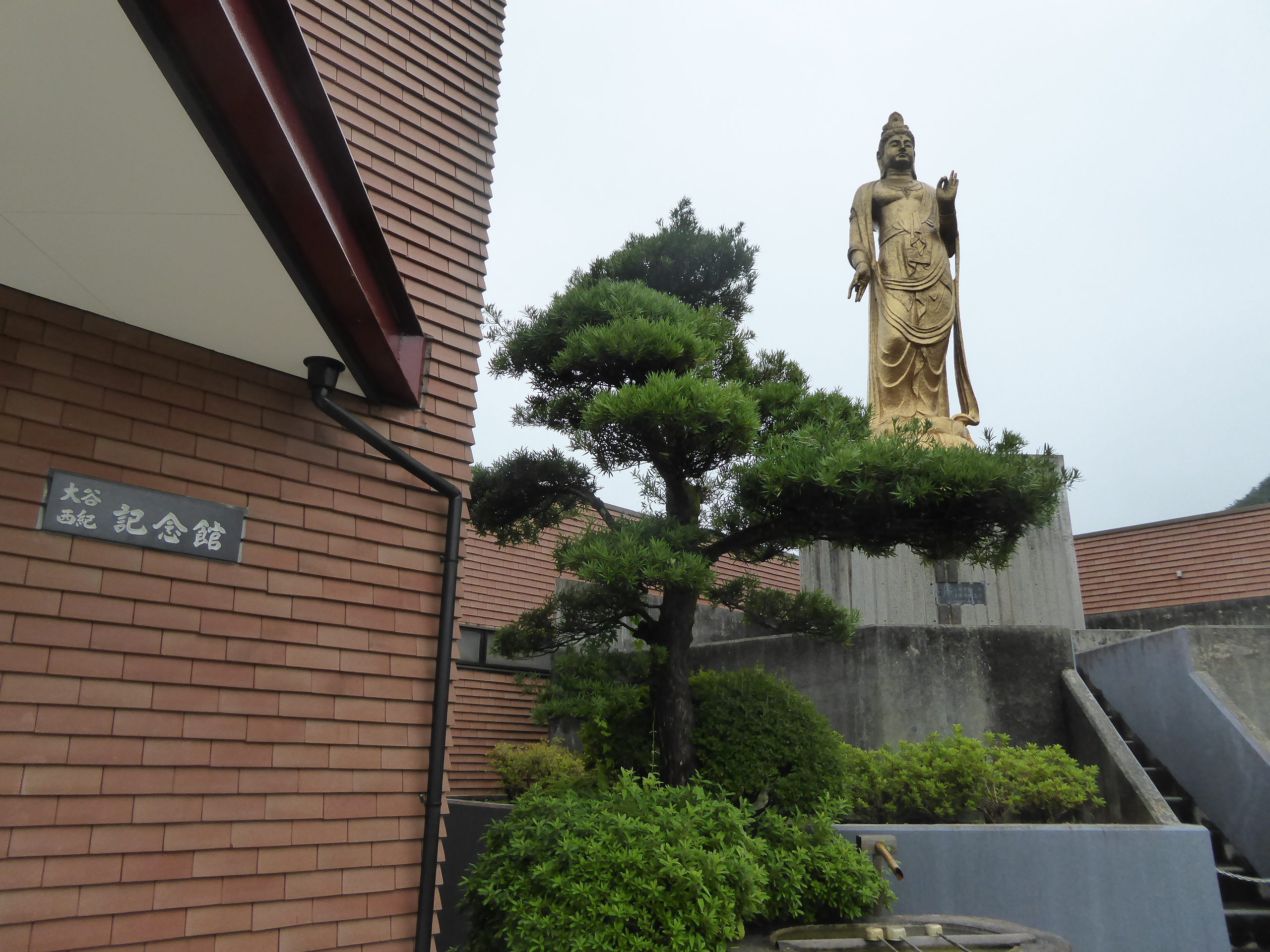 P1090367.JPG