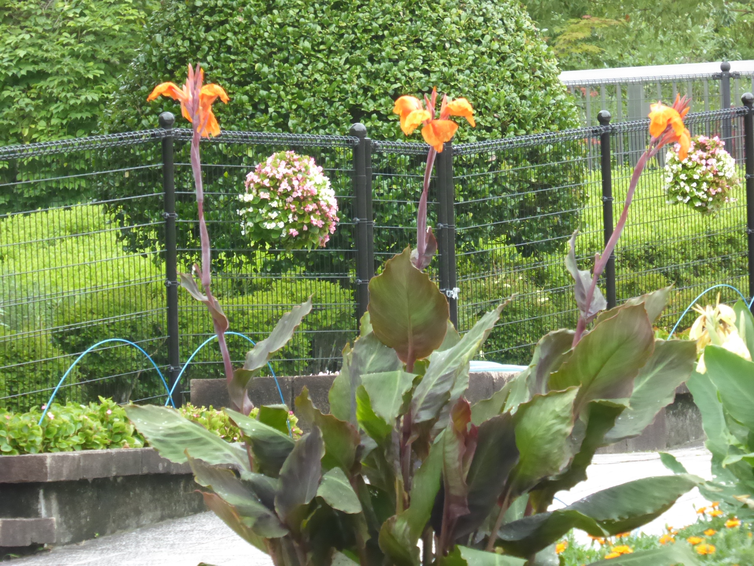 P1090372.JPG