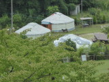 img0001.jpg