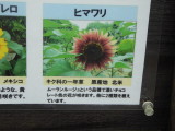 img0004.jpg