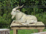 img0006.jpg
