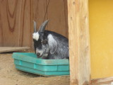 img0008.jpg
