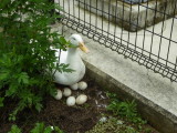 img0009.jpg