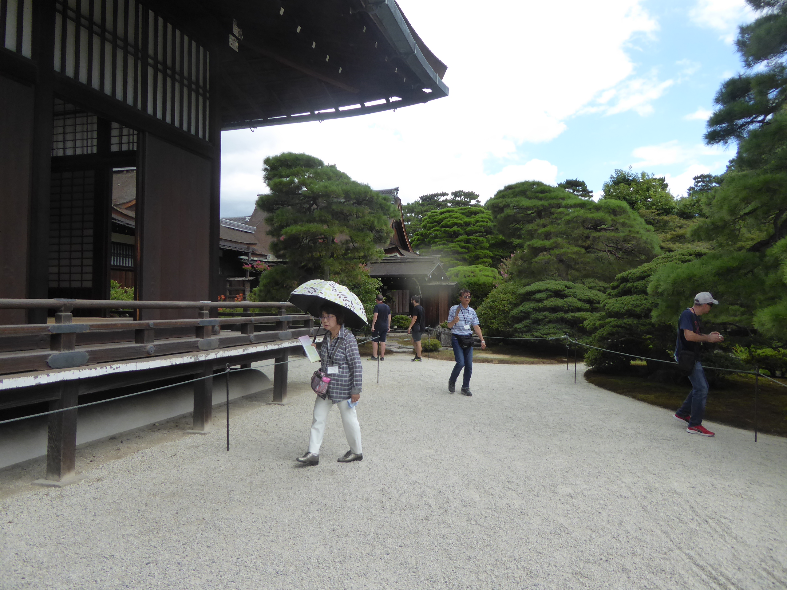 P1090391.JPG
