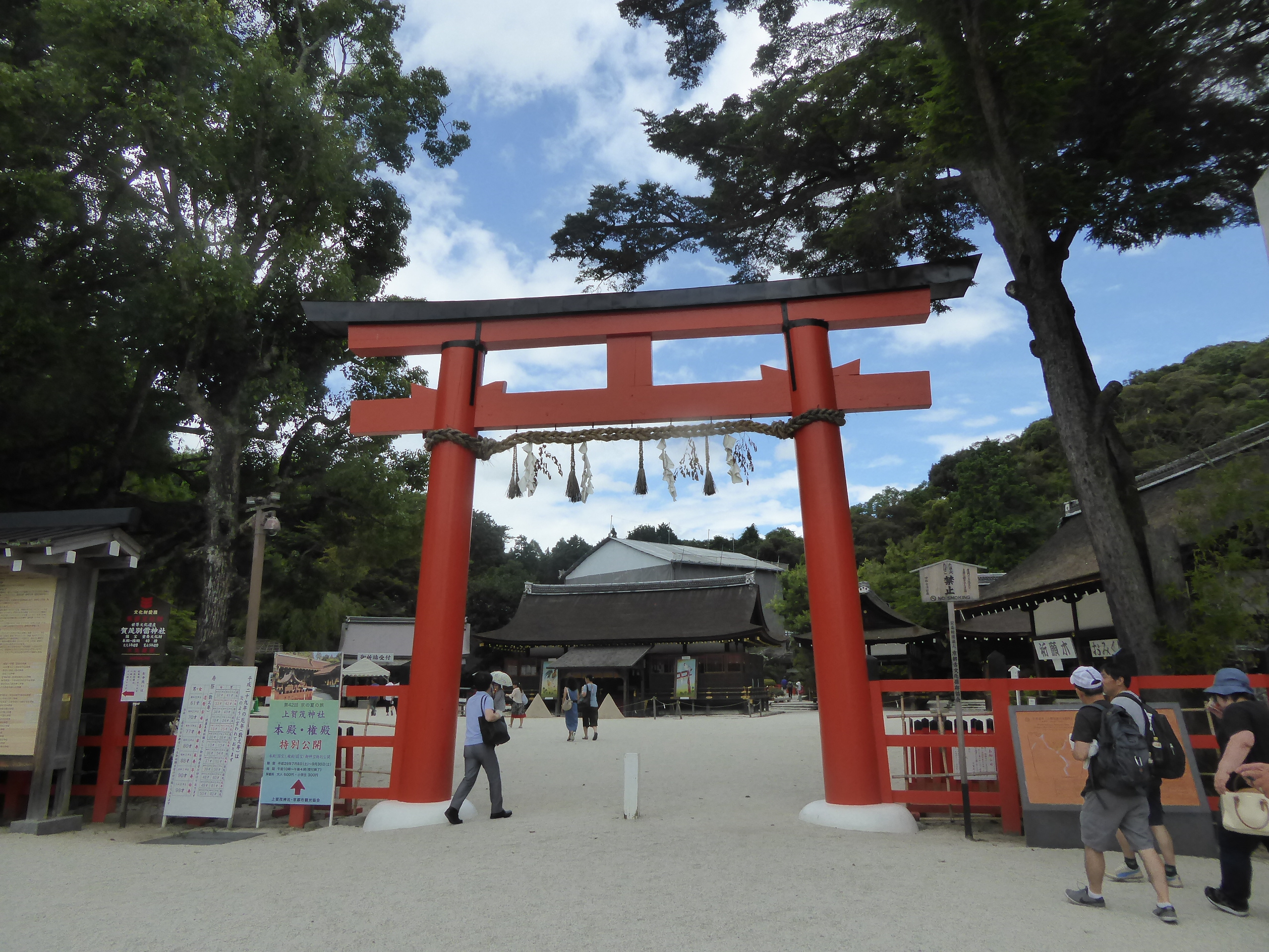P1090393.JPG
