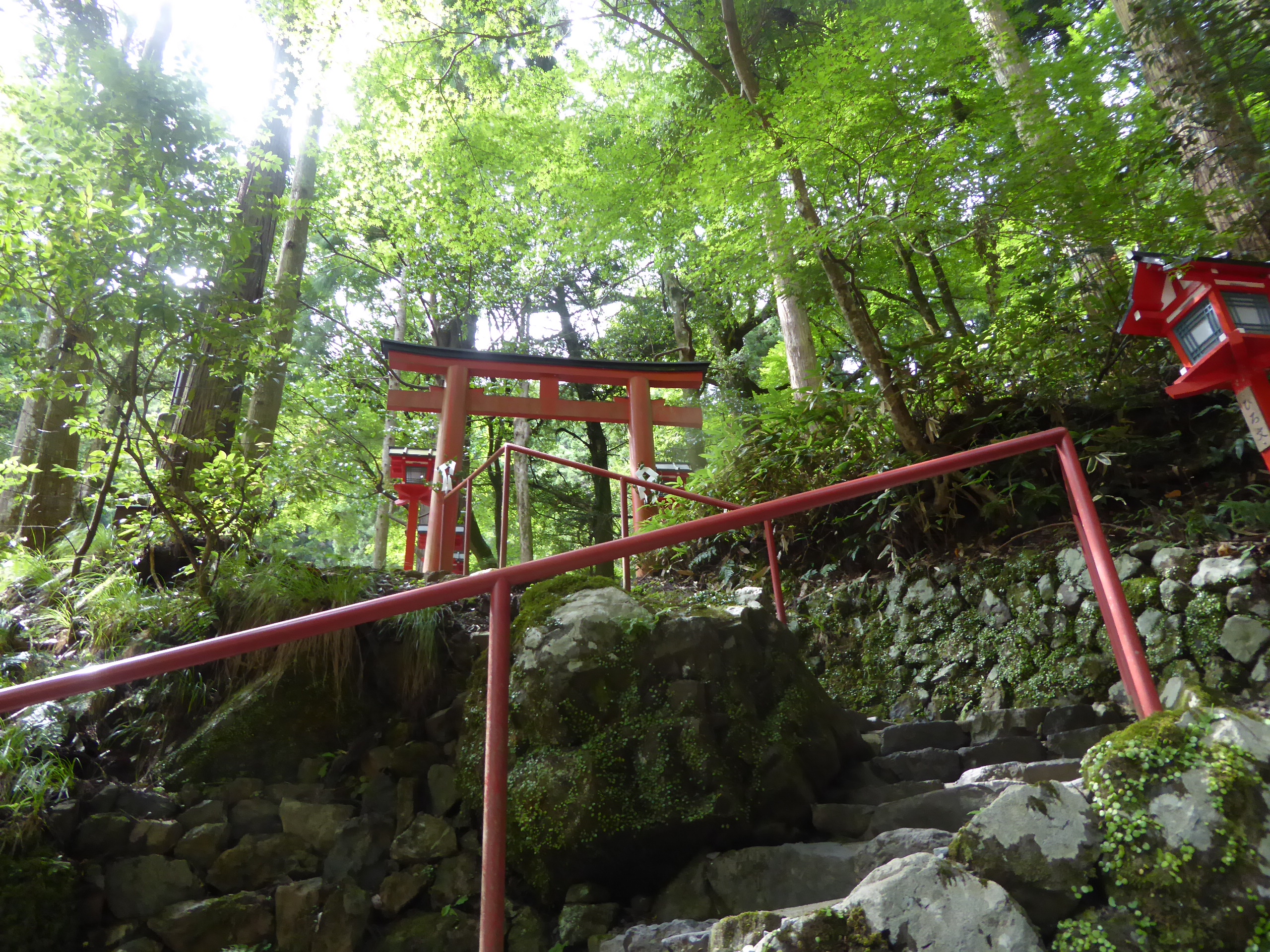 P1090411.JPG