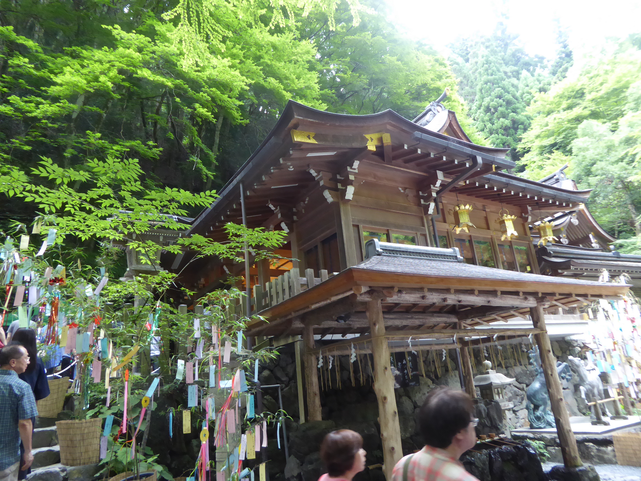 P1090414.JPG
