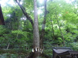 img0026.jpg