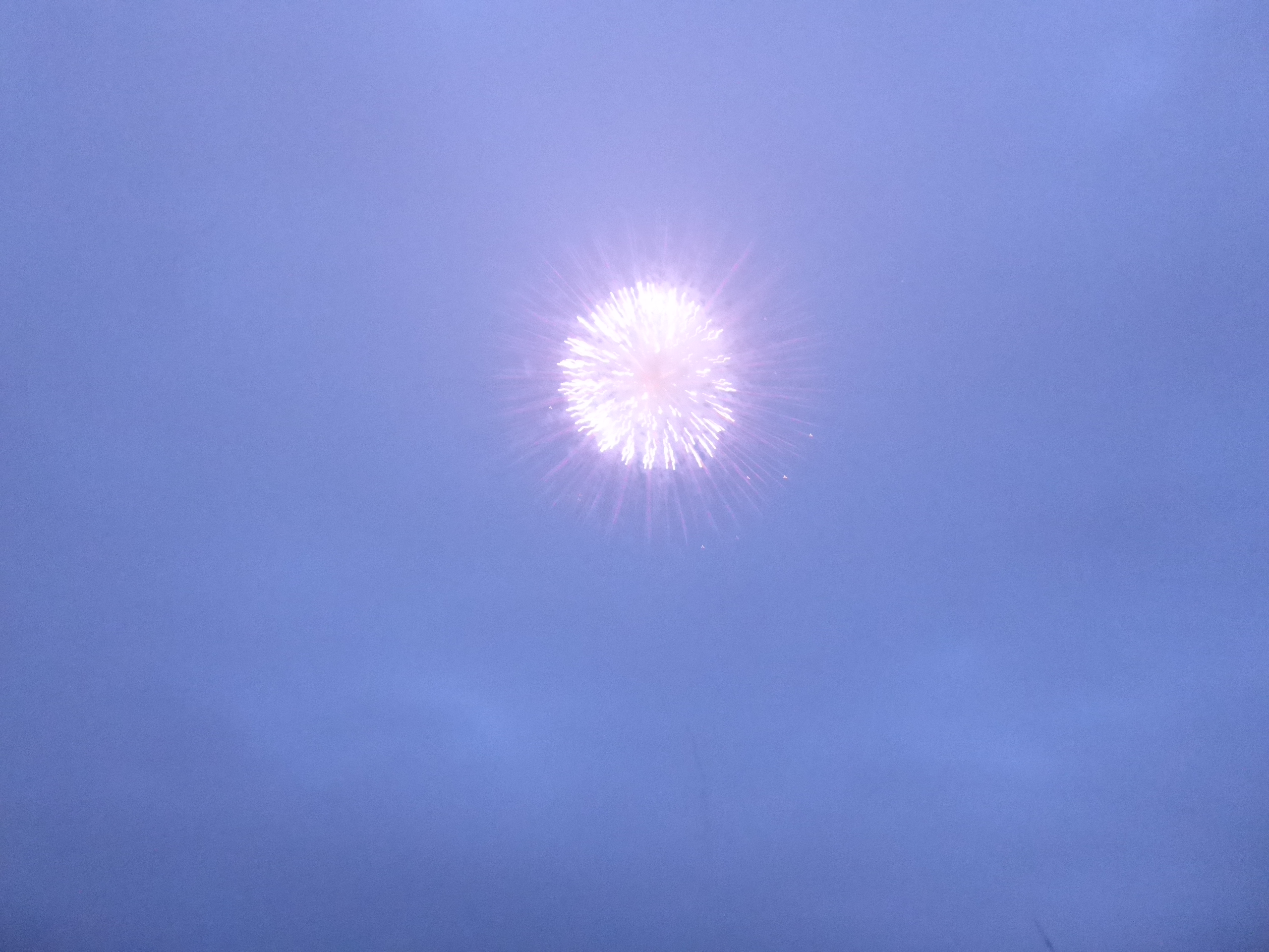 P1090424.JPG