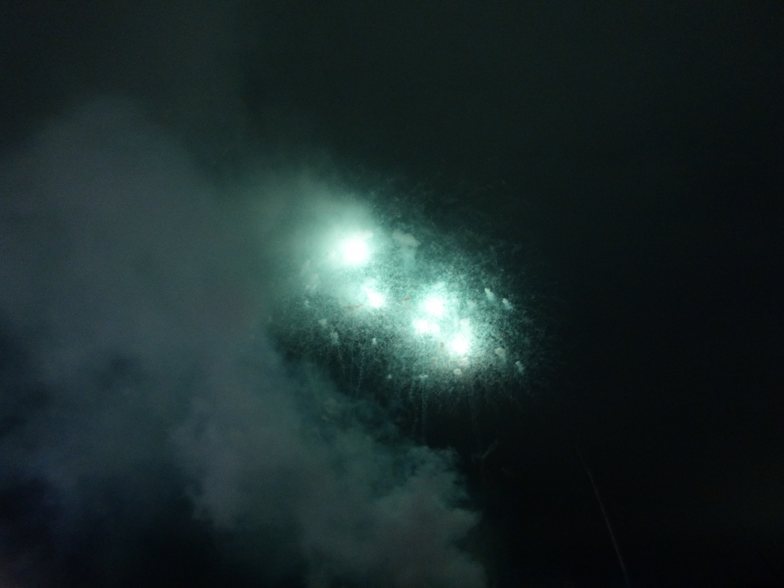 P1090447.JPG
