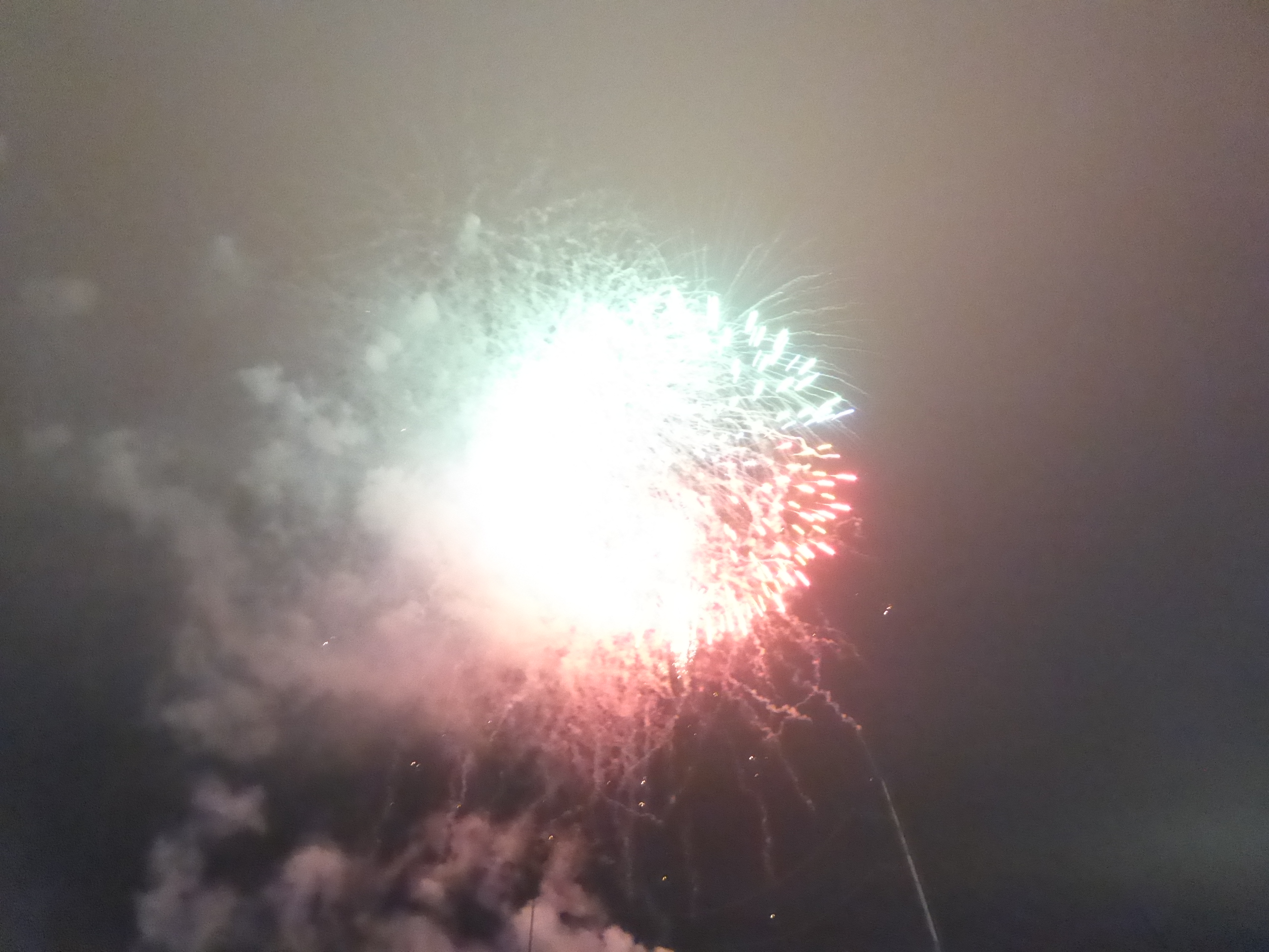 P1090524.JPG