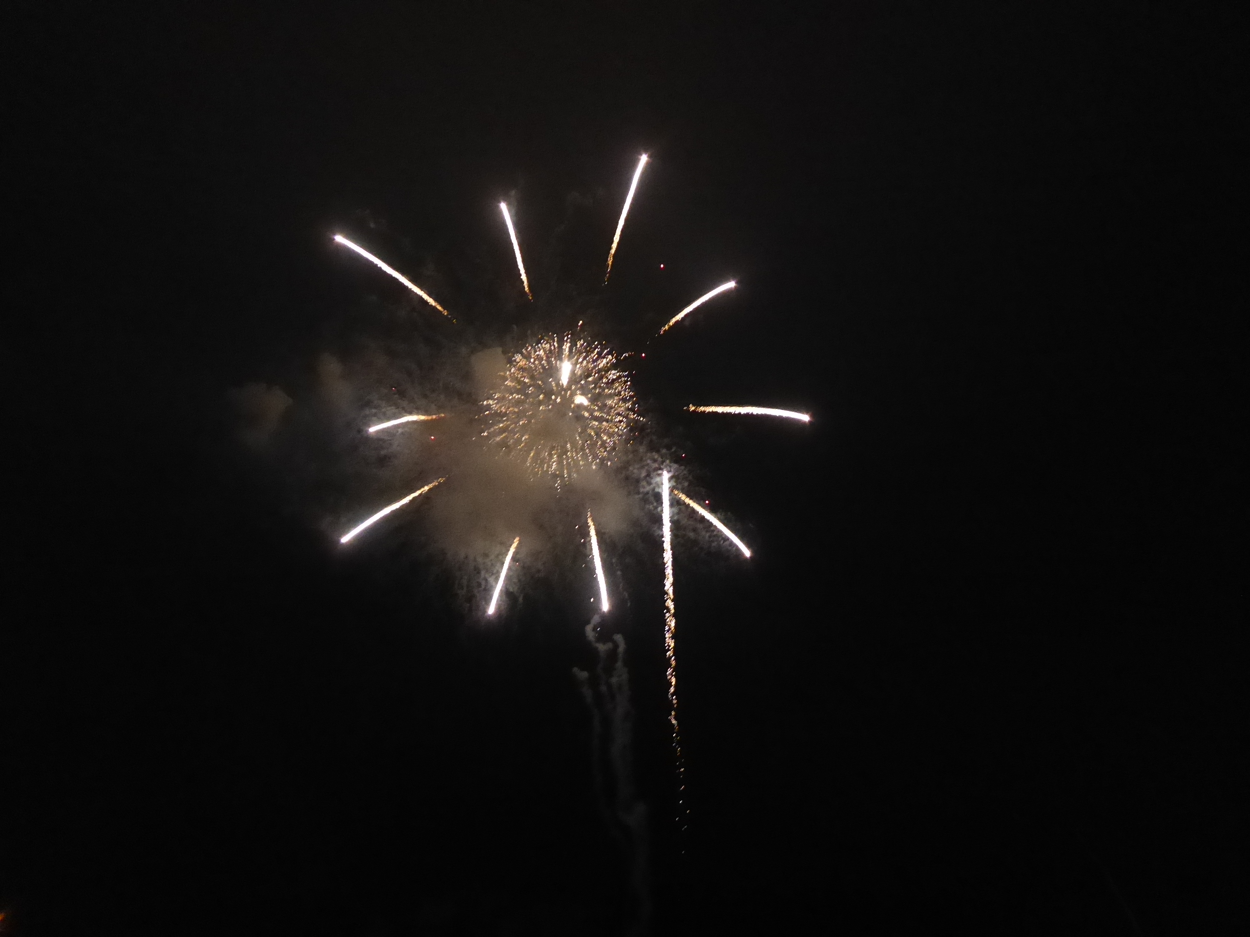 P1090539.JPG