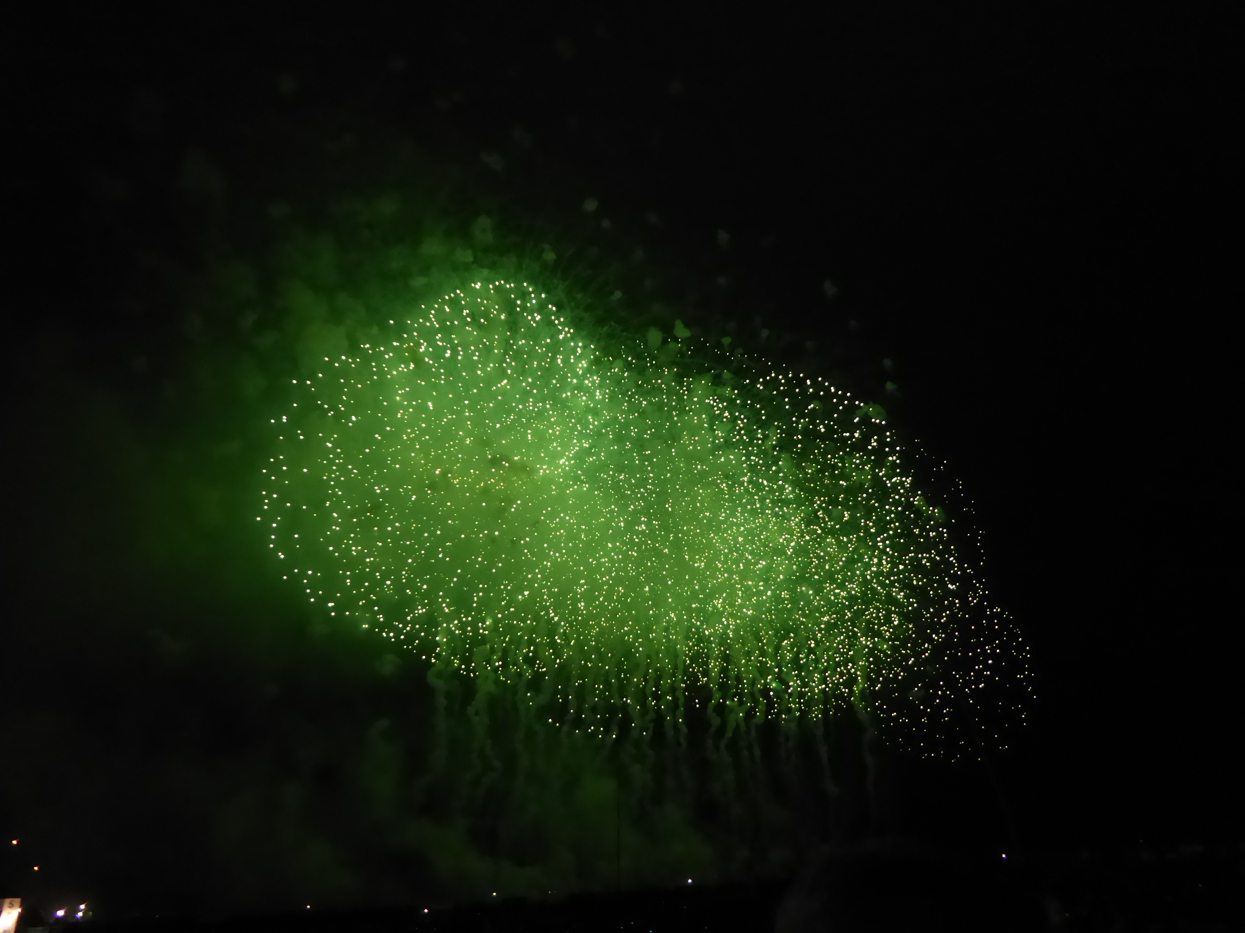 P1090588.JPG