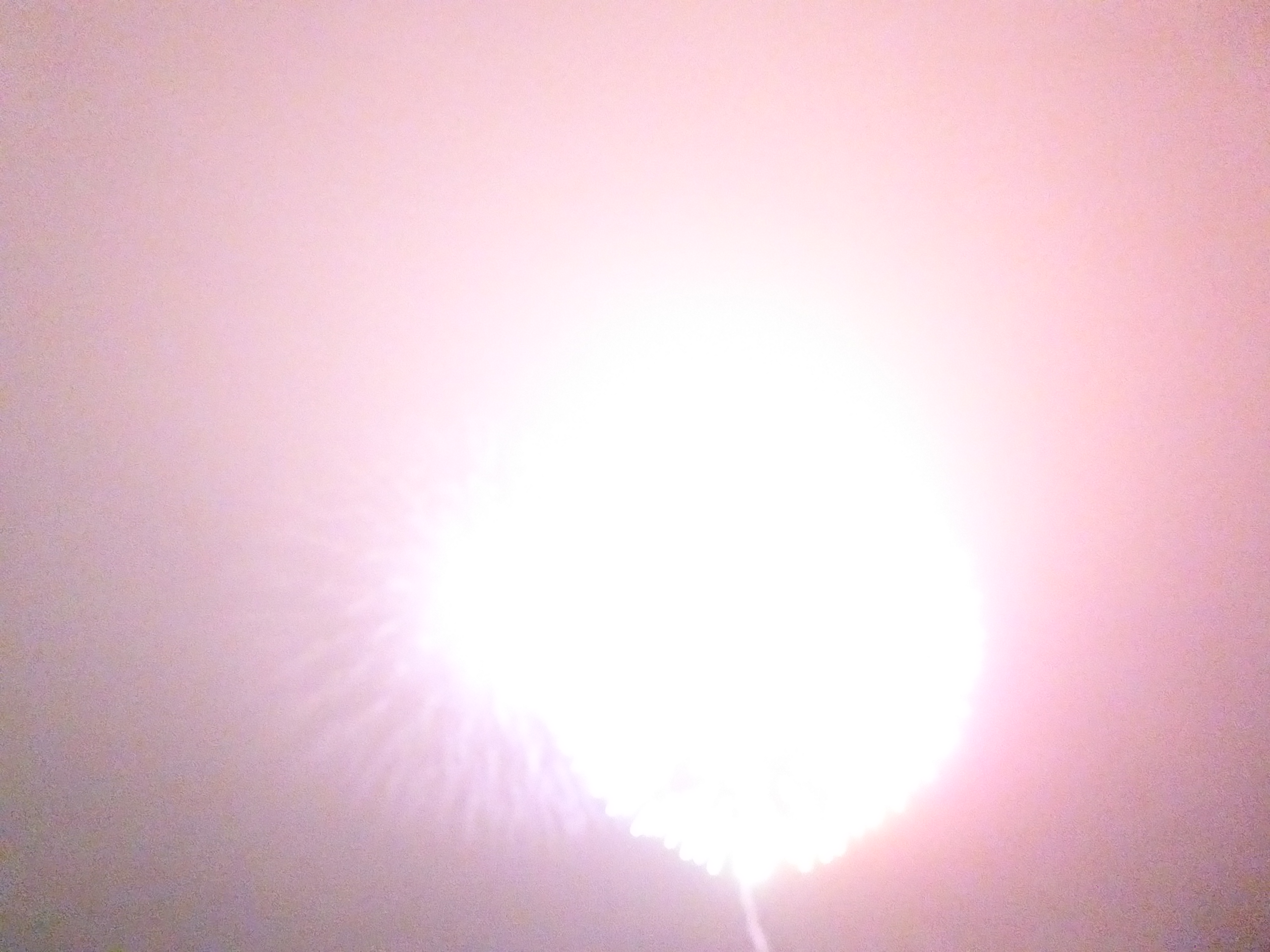 P1090595.JPG