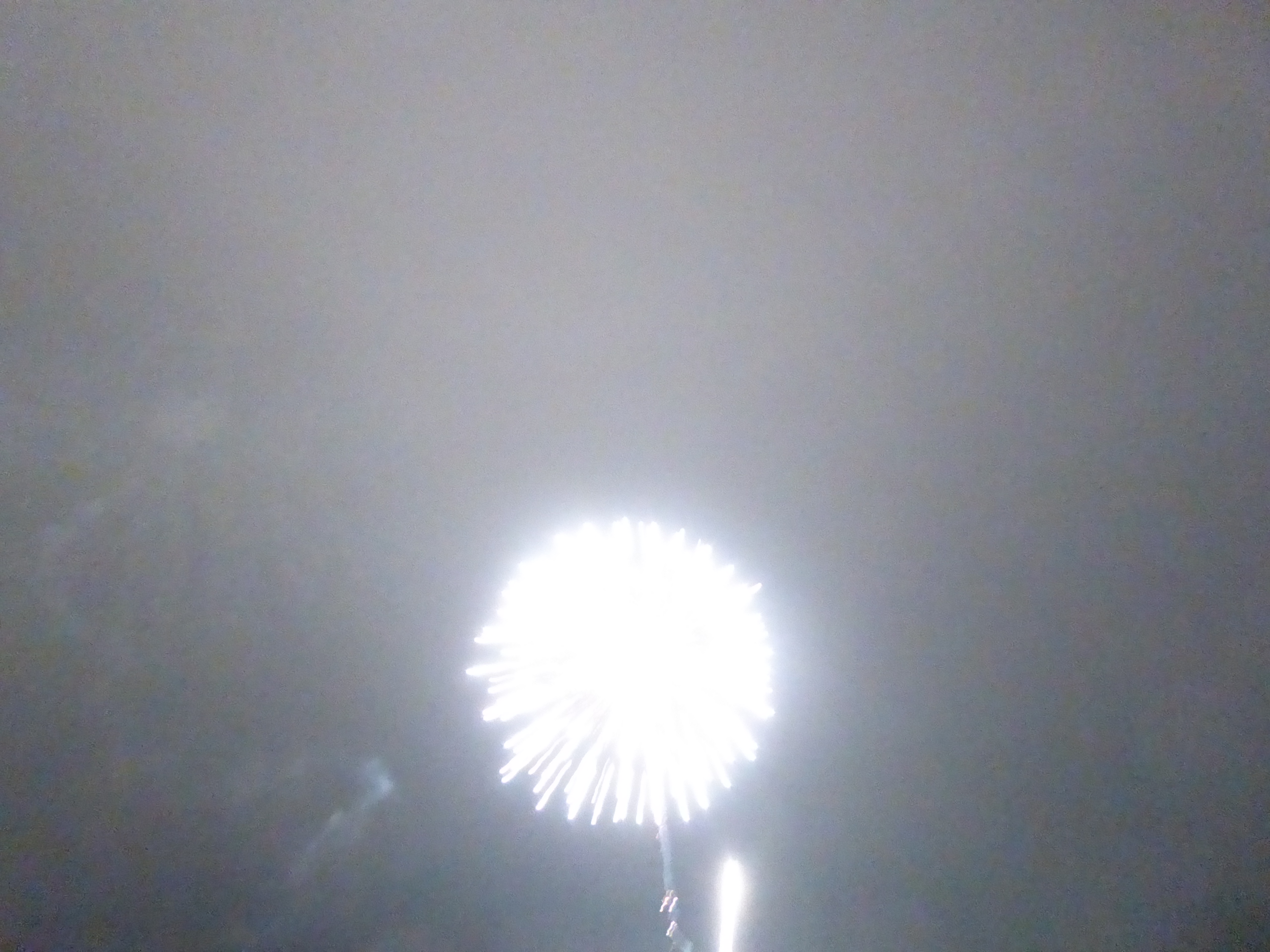 P1090597.JPG